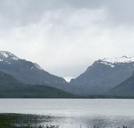 IMG_5477 IMG_5477